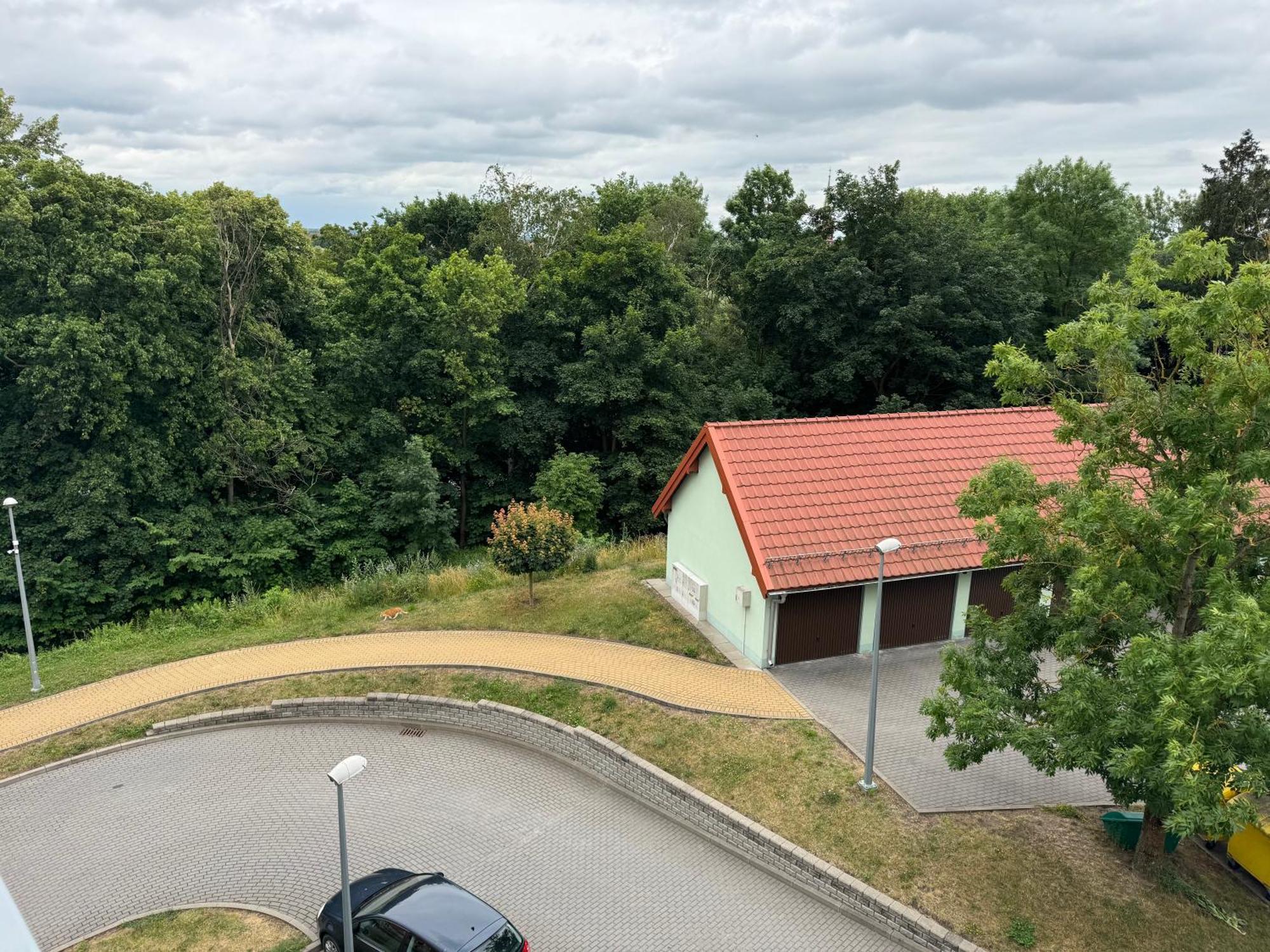 Bozki Apartment